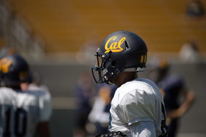Taariq Johnson was Cal's top wideout in the spring