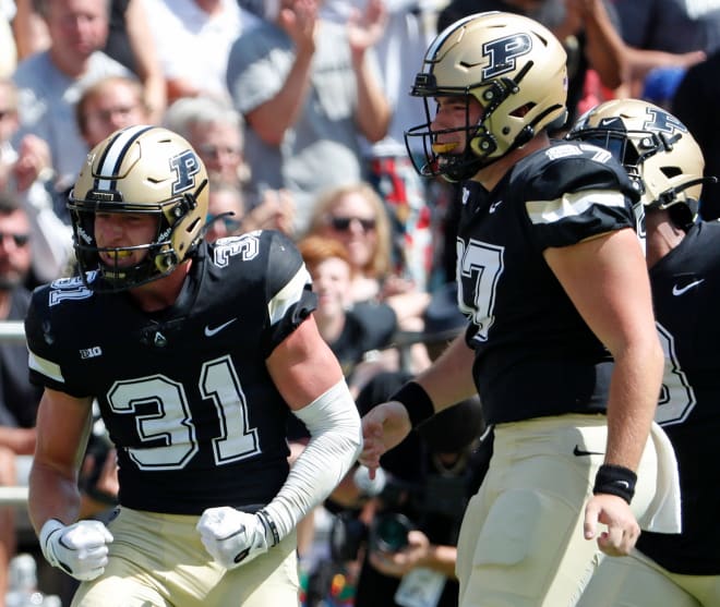 Purdue Boilermakers defensive back Dillon Thieneman (31) celebrates after getting a tackle during the NCAA football game against the Fresno State Bulldogs, Saturday, Sept. 2, 2023, at Ross-Ade Stadium in West Lafayette, Ind. Fresno State Bulldogs won 39-35.