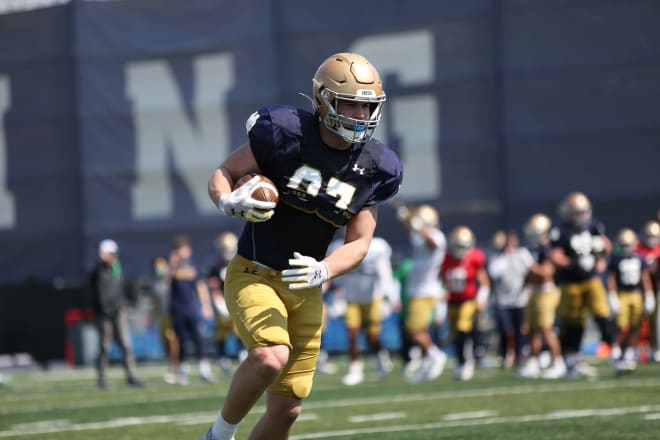 Notre Dame Fighting Irish football sophomore tight end Michael Mayer