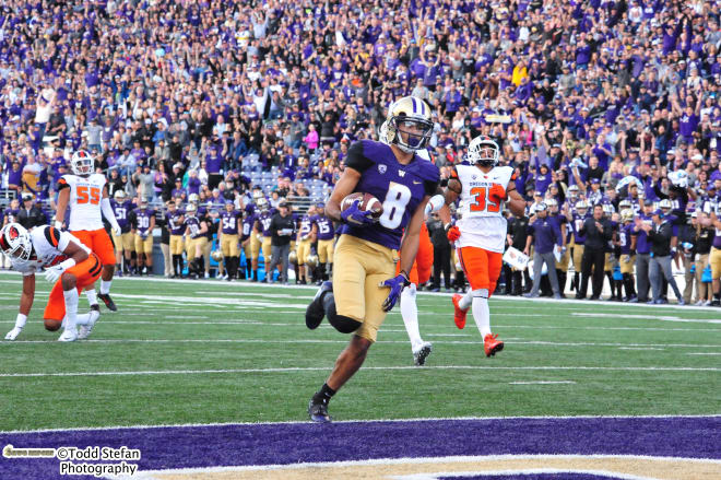 Dante Pettis (No.8) punt return for a touchdown vs Oregon State; Photo Credit -- Todd Stefan/TheDawgReport.com
