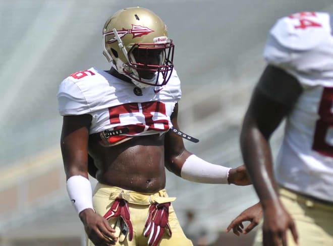 When healthy, Emmett Rice gives Florida State a very athletic linebacker and special-teams player.
