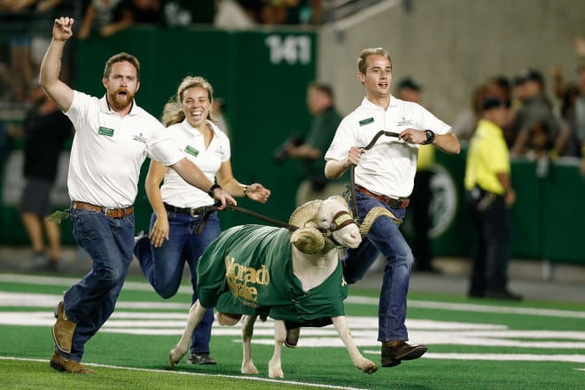 Chase and some buddies really celebrated Colorado State's victory last week. That poor animal.