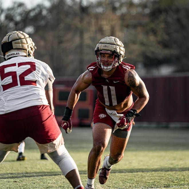 Defensive end transfer Jermaine Johnson has been tough to handle during FSU's spring football practice. 