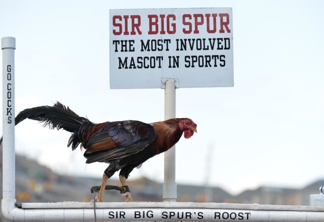 Sir Big Spur. Hey, I interviewed a parrot this week. 
