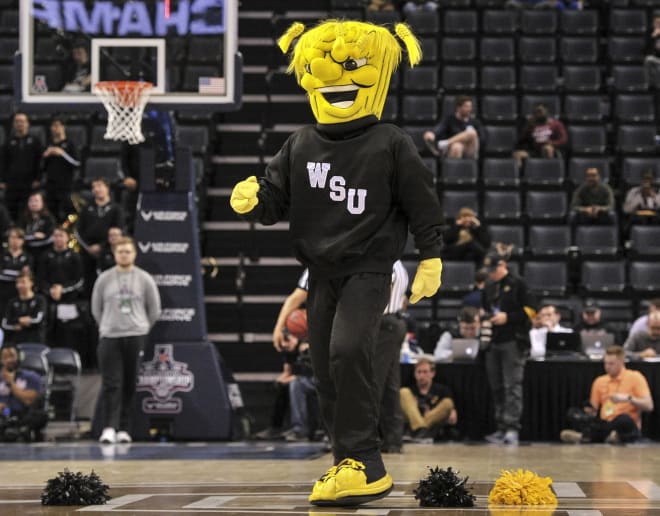 South Florida, USF, Bulls