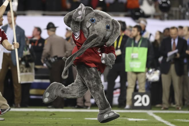 The story behind Alabama's elephant mascot