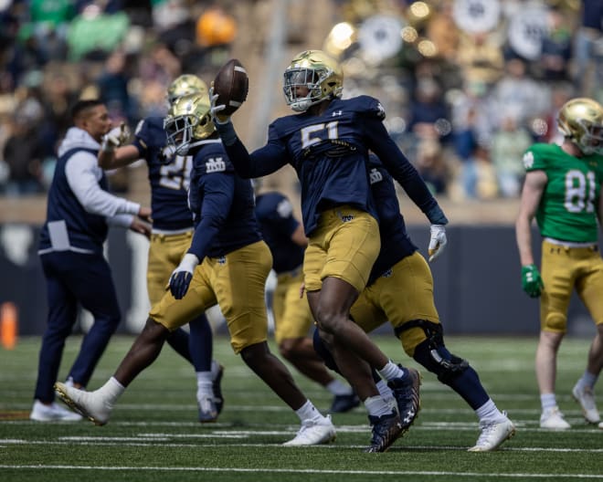 Notre Dame  defensive end Boubacar Traore (51) celebrates a big defensive play in the Blue-Gold Game, April 20 at Notre Dame Stadium.