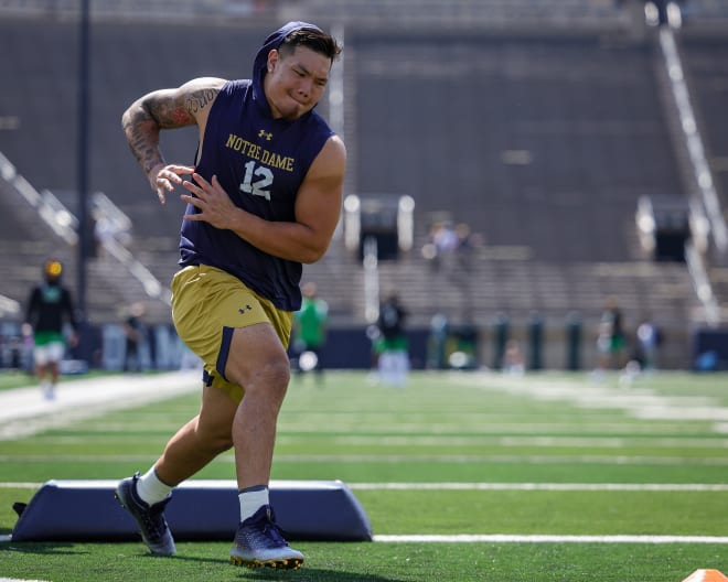 Can junior Jordan Botelho assert himself as Notre Dame's No. 1 option at vyper end?