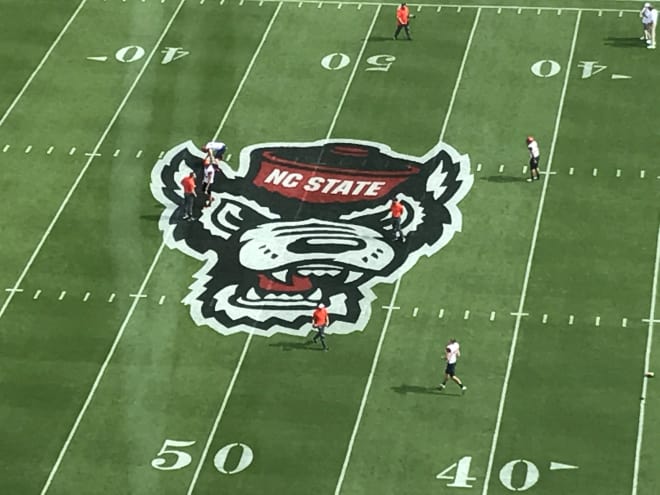 NC State has the Tuffy logo at midfield today.
