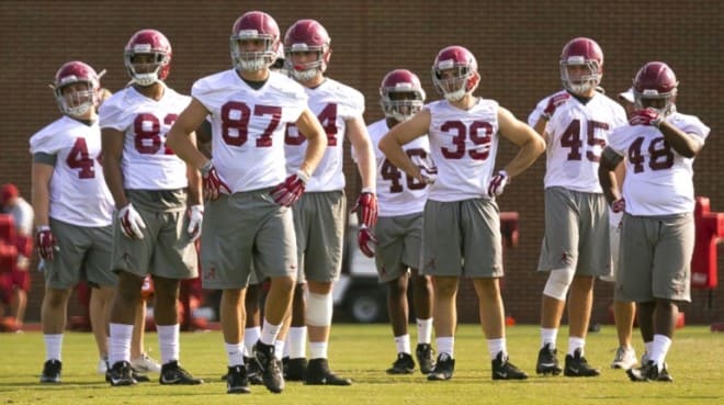 Alabama tight end Miller Forristall (87) will be one of the key contributors next season as the Crimson Tide looks to replace O.J. Howard. Photo | Laura Chramer