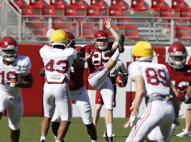 Alabama punter Charlie Scott (85) punts during the Crimson Tide's first scrimmage. Photo | Alabama Athletics 