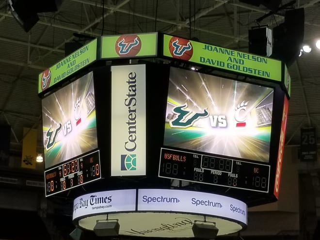 USF Bulls Basketball South Florida