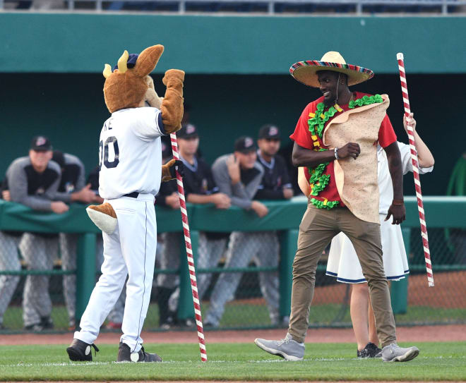 Johnson dons a walking taco costume as part of his State College Spikes internship. (Photo: Steve Manuel)