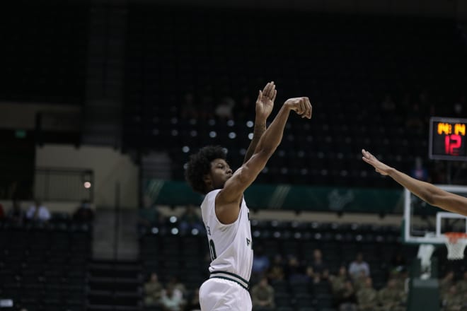 South Florida, USF, Bulls