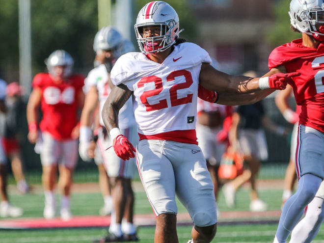 Steele Chambers blossomed into arguably Ohio State's best linebacker last year. (Birm/DTE)