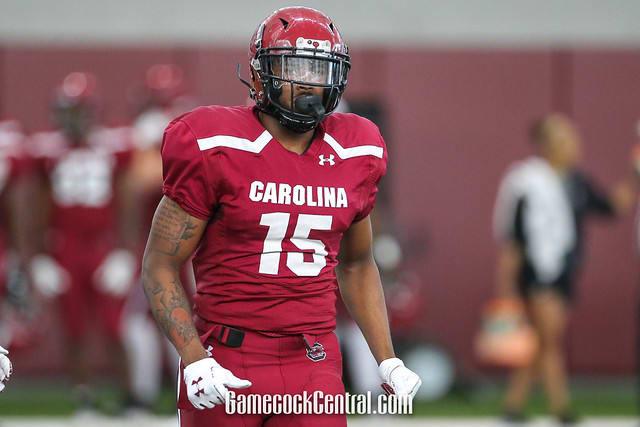South Carolina tight end Evan Hinson looks on at practice this fall.