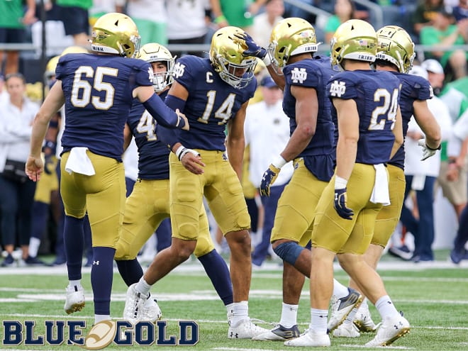 Notre Dame Fighting Irish football junior safety Kyle Hamilton 