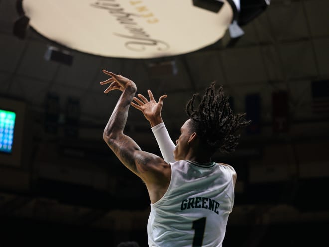 South Florida, USF, Bulls