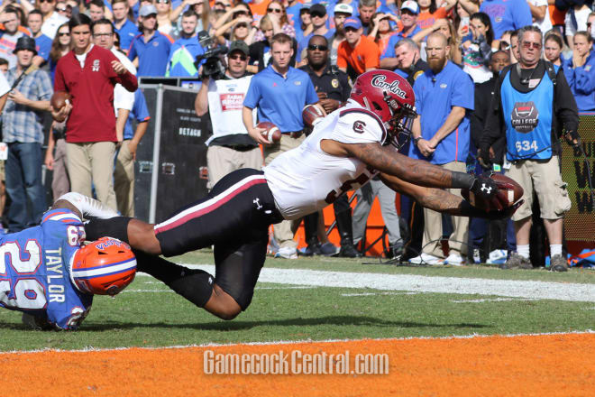 South Carolina running back Rico Dowdle scores a touchdown during Saturday's game.