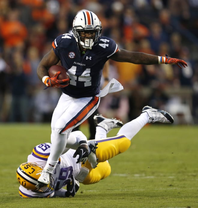 Artis-Payne (44) had one of the best seasons for a running back in Auburn history in 2014.