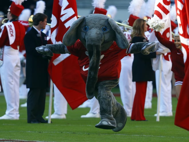 Alabama mascot Big Al leads the team onto the field before the start of an NCAA college football game against Mississippi State, Saturday, Nov. 10, 2018, in Tuscaloosa, Ala.