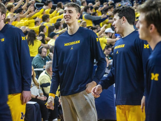 Michigan Wolverines basketball guard Franz Wagner